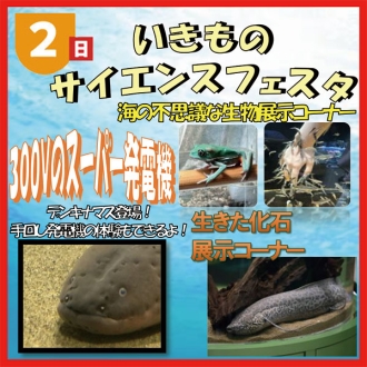 新・神宮東会場のイベント情報イメージ