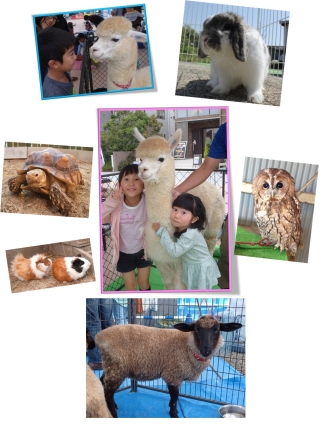 浜北会場のイベント情報イメージ