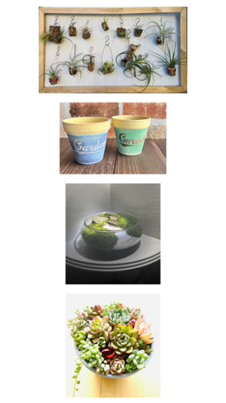 浜北会場のイベント情報イメージ