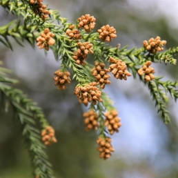 「暮らしと家づくり」コラムイメージ