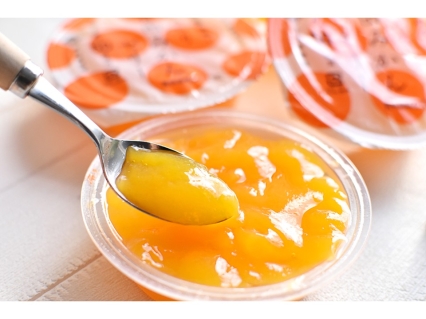 モデルハウス見学予約イメージ