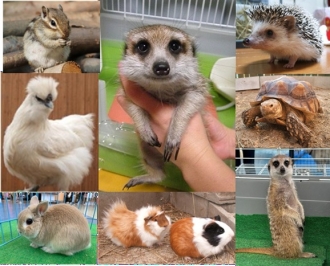 浜北会場のイベント情報イメージ