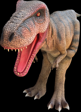 豊橋会場のイベント情報イメージ